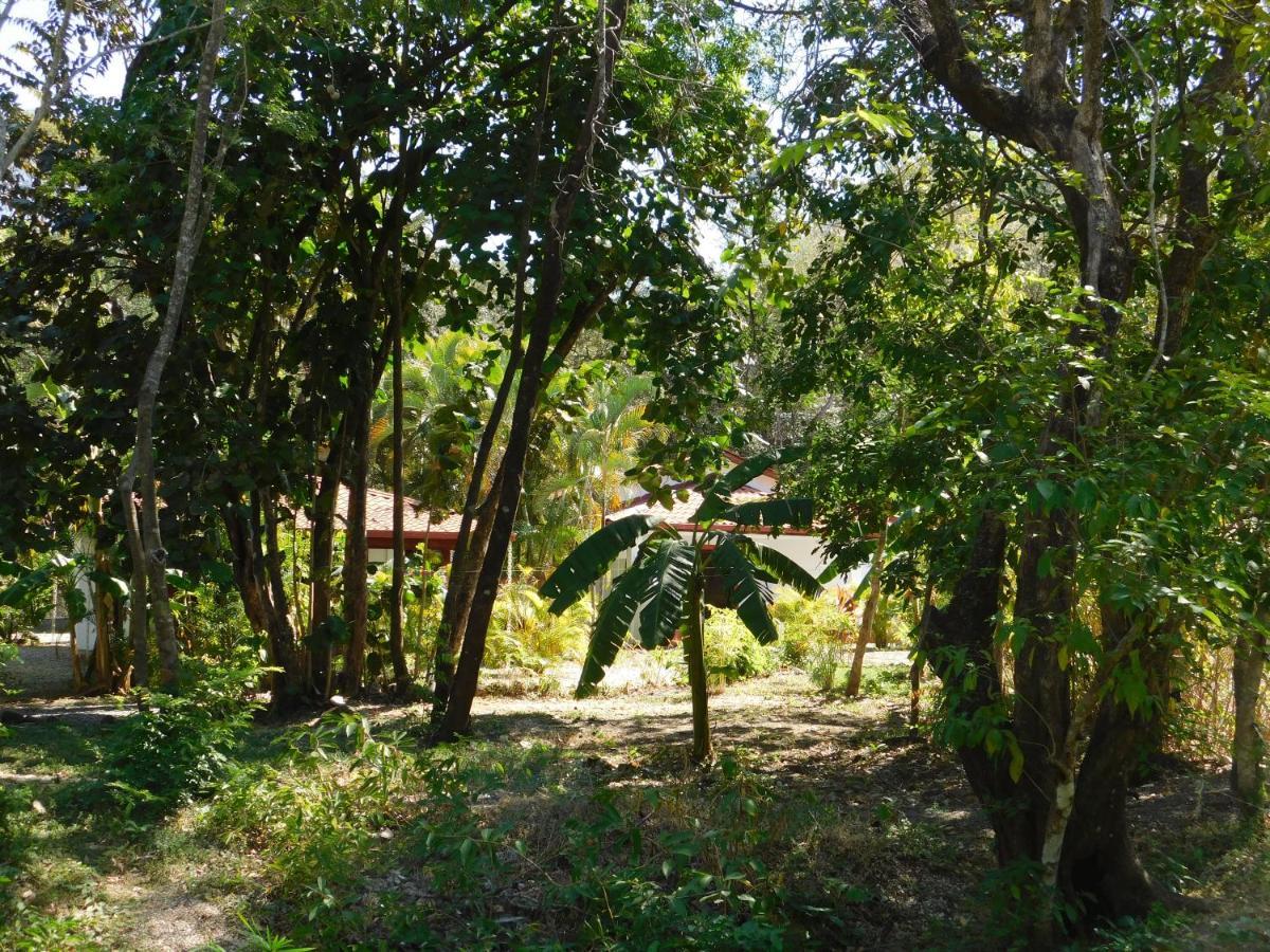 Villasjungle 1 Sámara Exteriér fotografie
